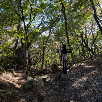 間違えて、違う登山口に下りる方がいるそうで、わかりやすく書いてあります。