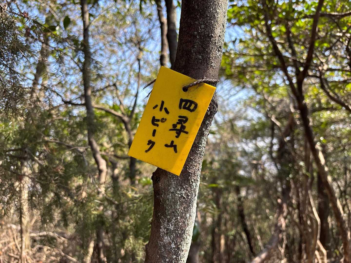 小ピーク！
では…大を目指して歩みを進めます
中もあるんなかあ…🧐