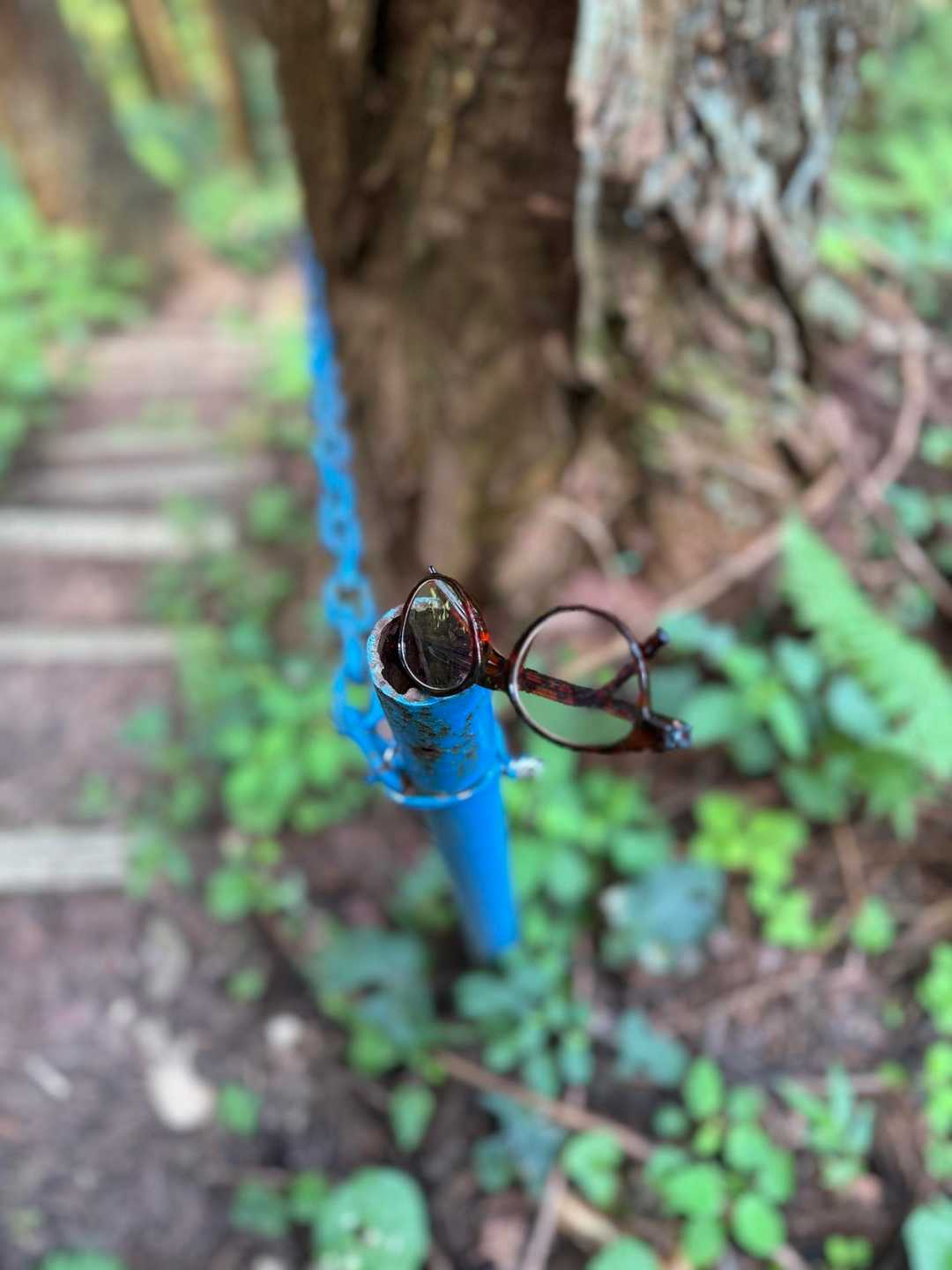 落とした老眼鏡、誰か拾ってくださってました🙏