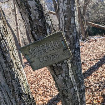 幡野山。597m。
里山と言ってよい高度ですが、油断できない。