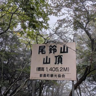 さんちょ♪

他の方の投稿にもあるように、眺望はないです