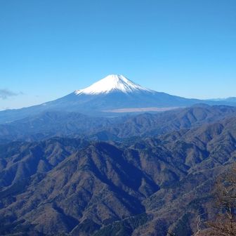 倍率２倍で撮影