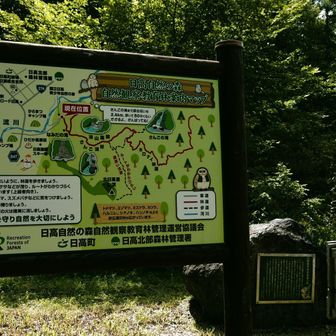 皆さんの活動日記に書かれていますが、まずは『さんごの滝』を目指します