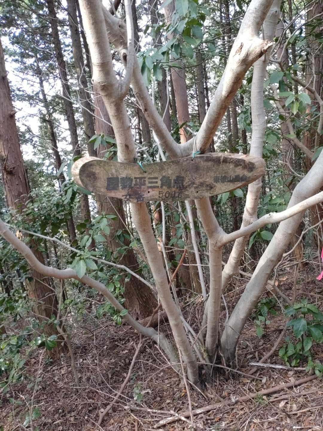 女岳