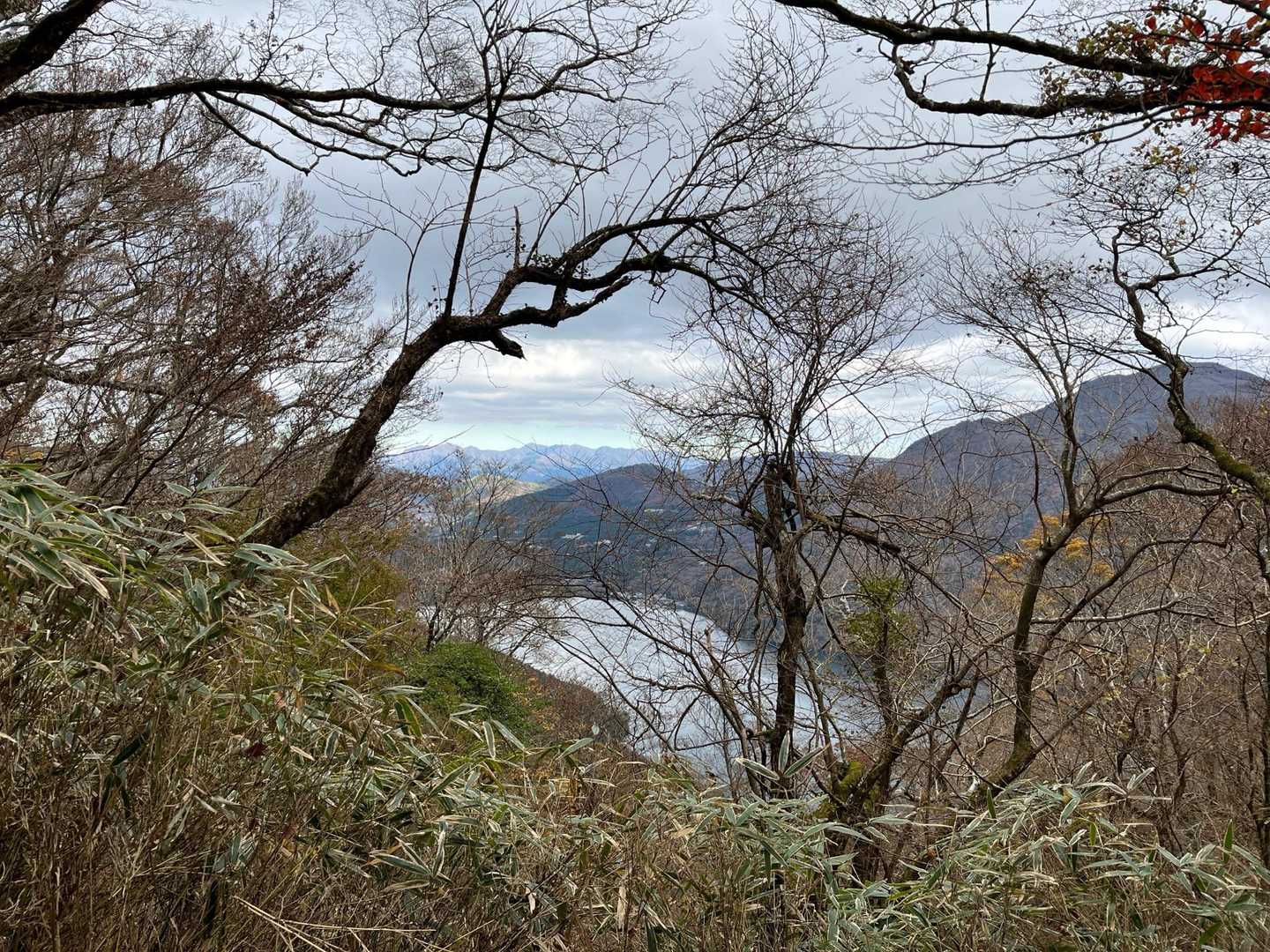 晴れてればね〜