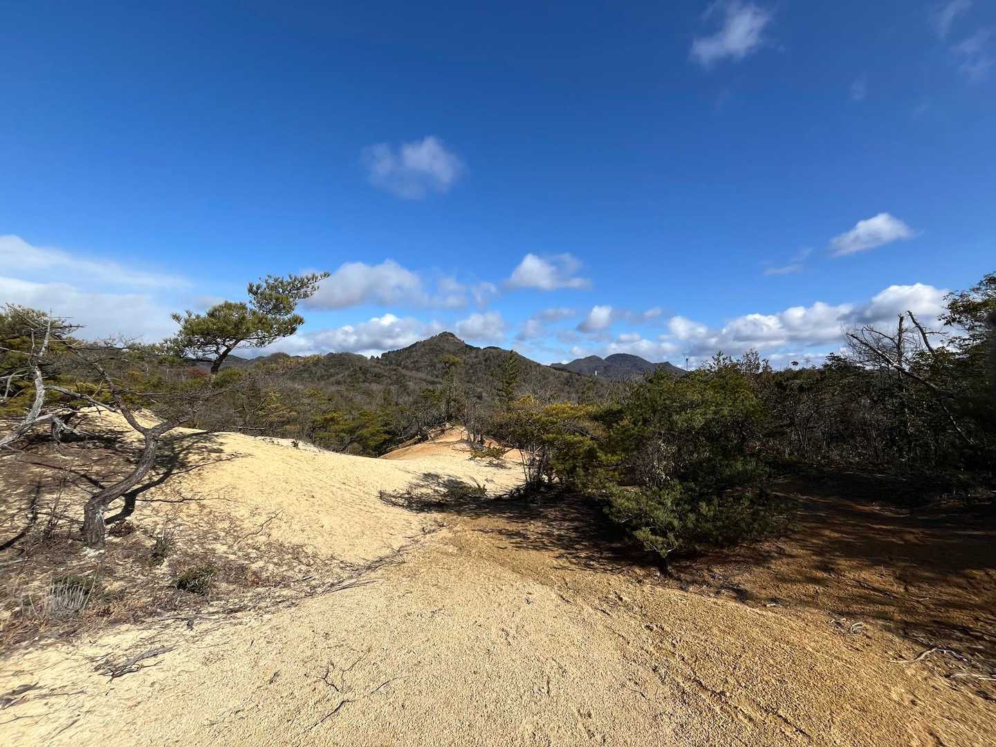 山頂写真忘れた。
奥に有馬富士
ここは帰り道