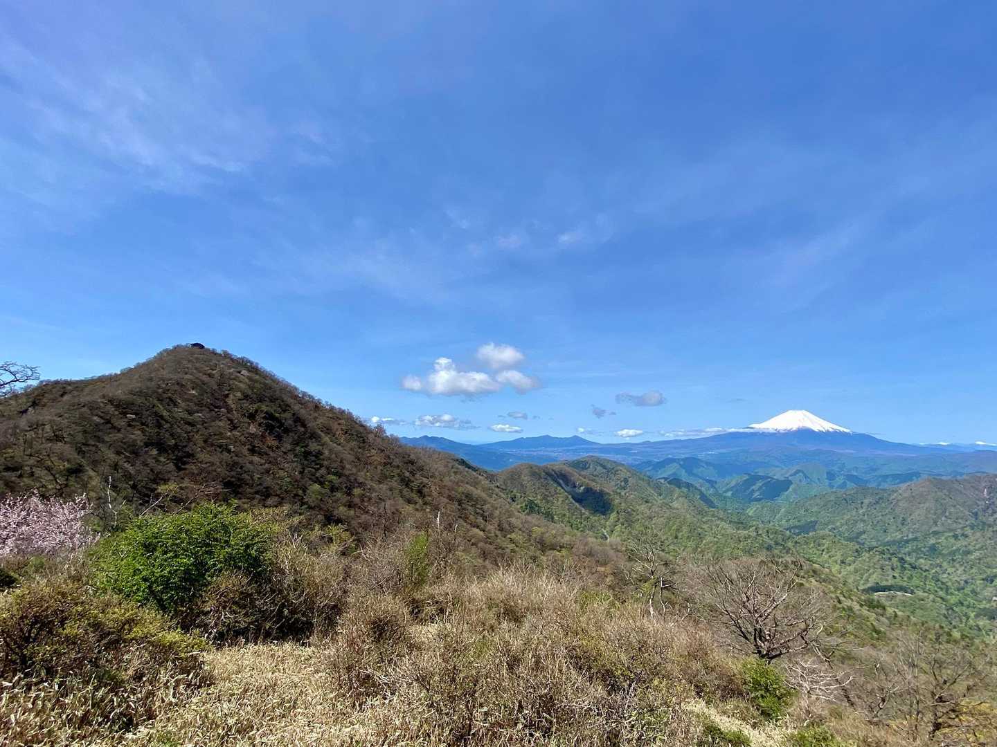 振り返ると塔ノ岳と富士山