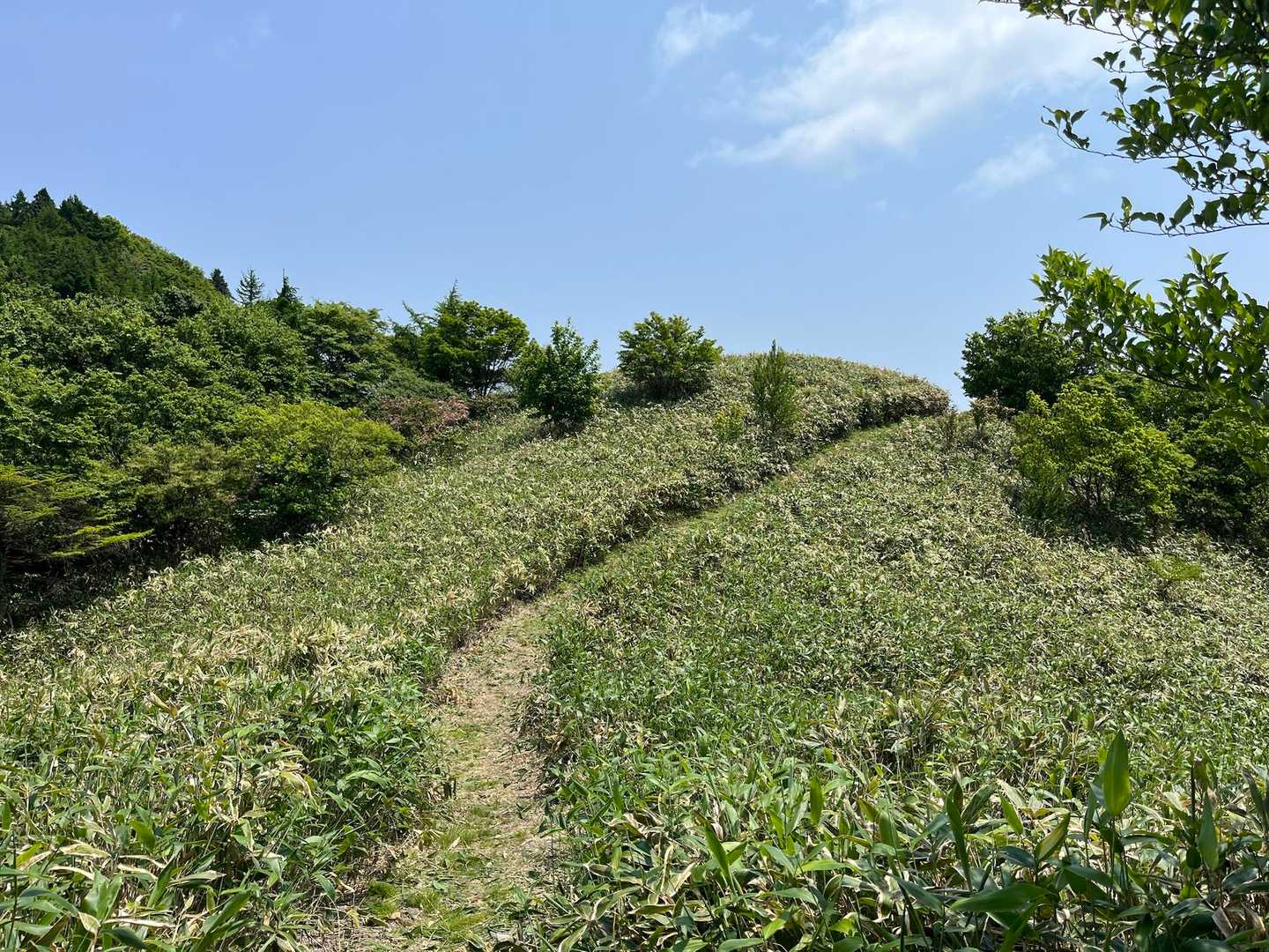 登って