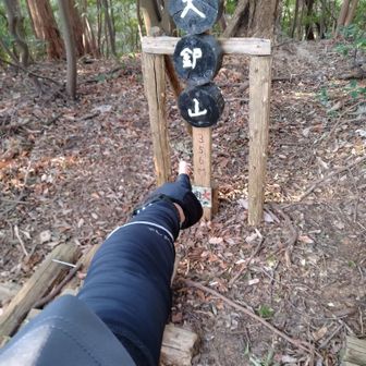 読めないピークばかりで、、、