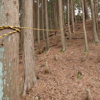 最初こそロープがありますが、途中からピンテのみになります