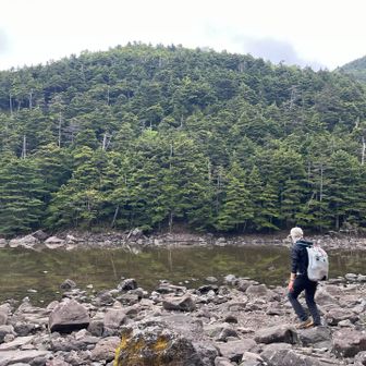 長い長い下りを経て、ようやく亀甲池に到着。
静かで良い環境で、北八ヶ岳でも好きな場所のひとつです🐢