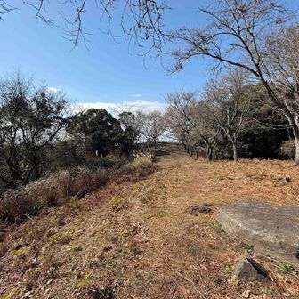 目配山頂上直下の急登以外は 起伏の緩やかな快適な道です