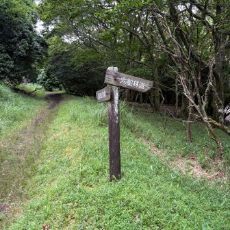 ここで折り返し〜