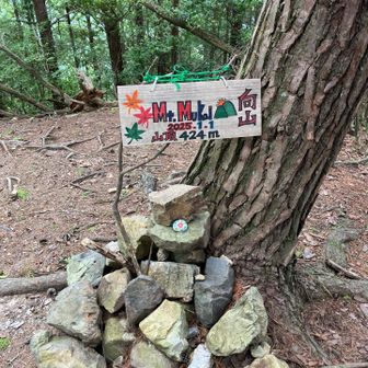 なかなかのお山でした⛰️