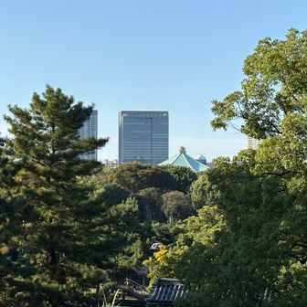 天守台に登りました。
武道館の屋根が見えます