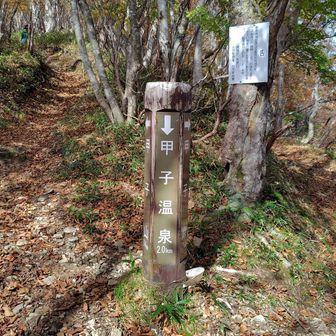 先ほどの分岐　左甲子山へ　右大白森山へ