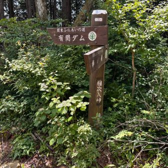 滝ノ平尾根から戻ります