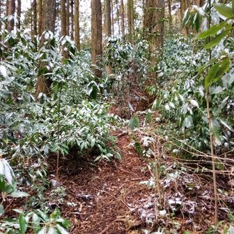 ようやく登り！

夢中でガシガシ登る。

これ出てたね。
ドーパミン🤫