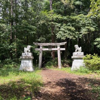 ここからは普通に登山です／^o^＼