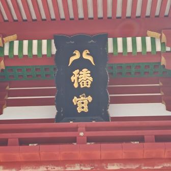 😀アップ〜

いつも、笑みがこぼれちゃう〜
一人の時はあまり笑わないようにしなきゃ…😅