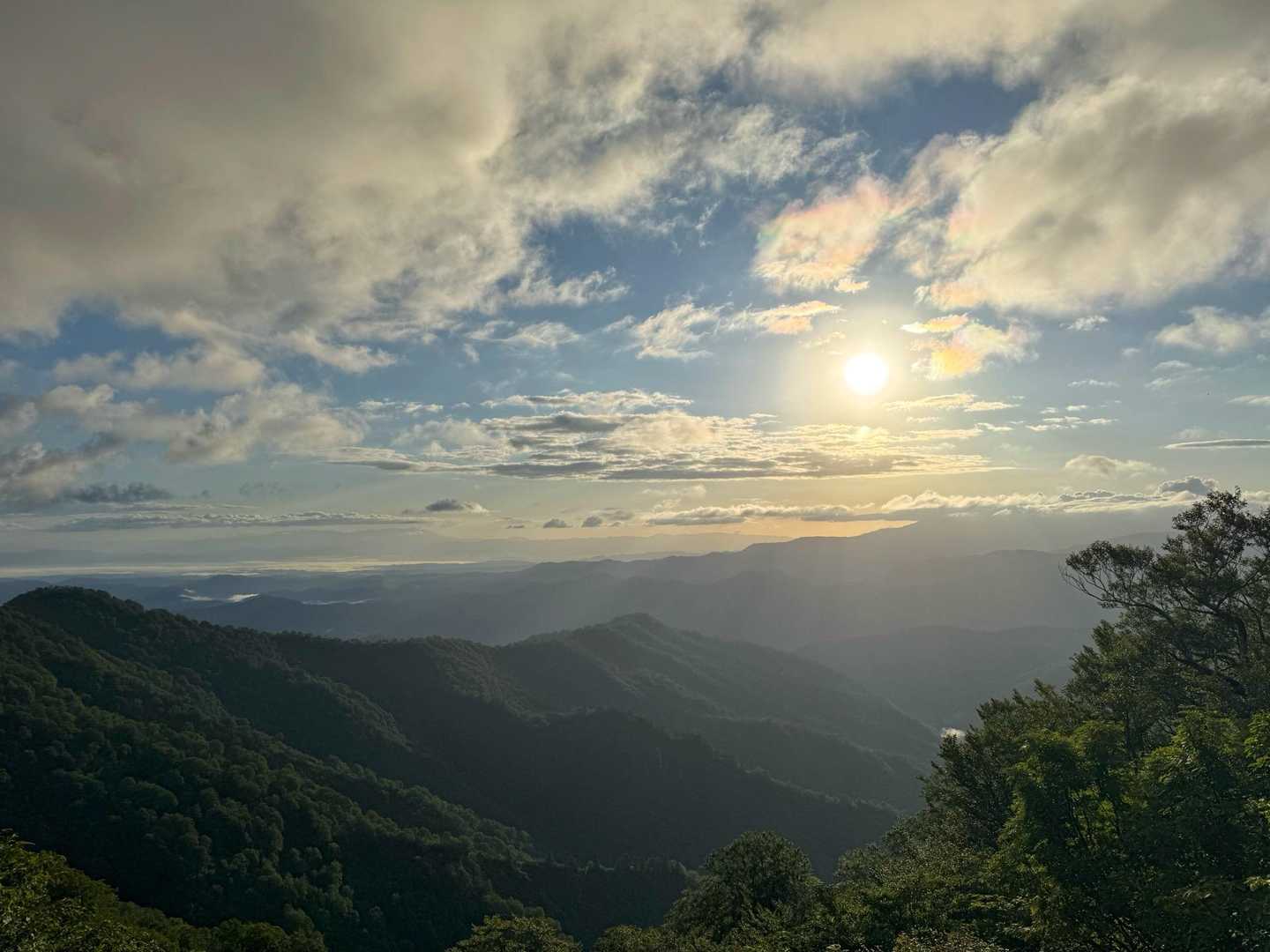 気持ちいい☀️