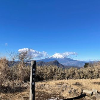 ちょうど雲の合間に💗