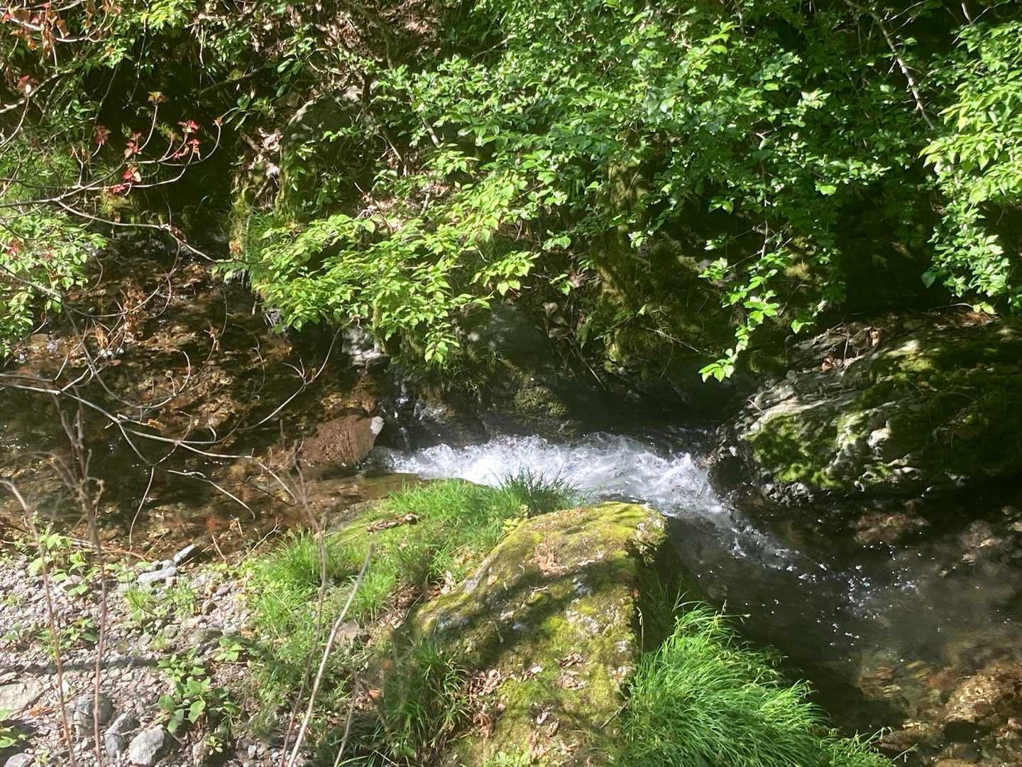 脇に流れる橋立川が