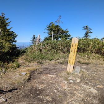 金山(かなやま)山頂到着。
雨飾山への分岐あり。