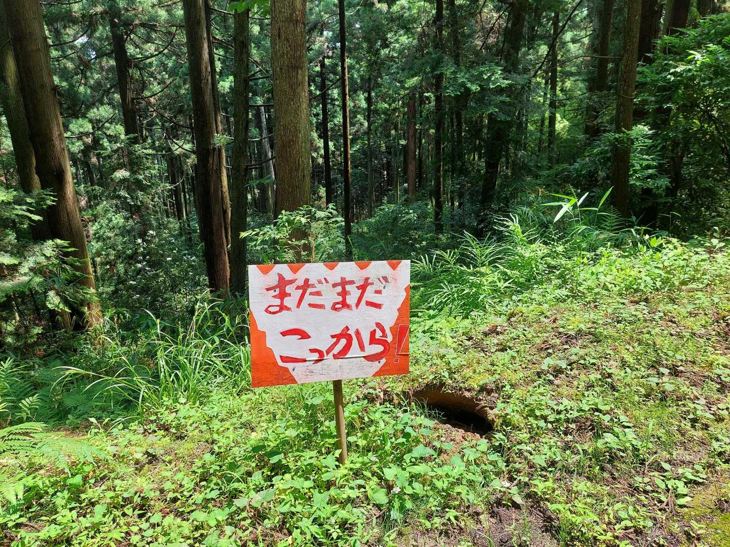 のんびり