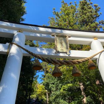 予定のルートをはずれて、神社⛩️に降り立つ。
シゴデキamazfit t-rex 3がずっとブルブルしてコースアウトをお知らせしてた💦
ごめんね⌚️
