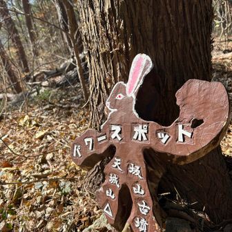 ここから先　しばらくずーっと降り坂