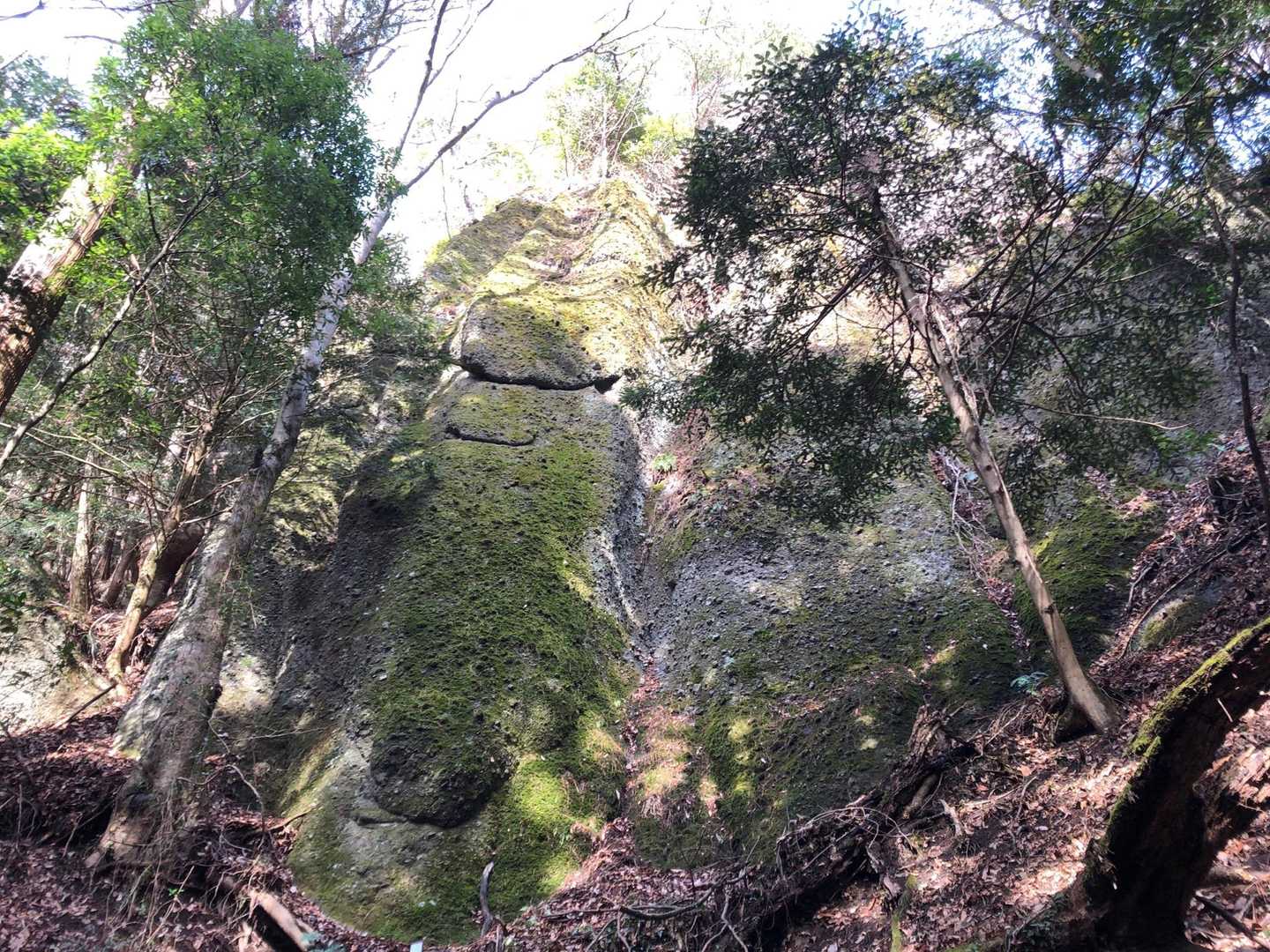 鍋足山-鍋足山 周回コースの写真