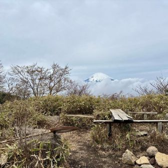 今度は猪鼻砦跡まで降りてきました
富士山ひょっこりʕ•ᴥ•ʔ
ここでUターンです