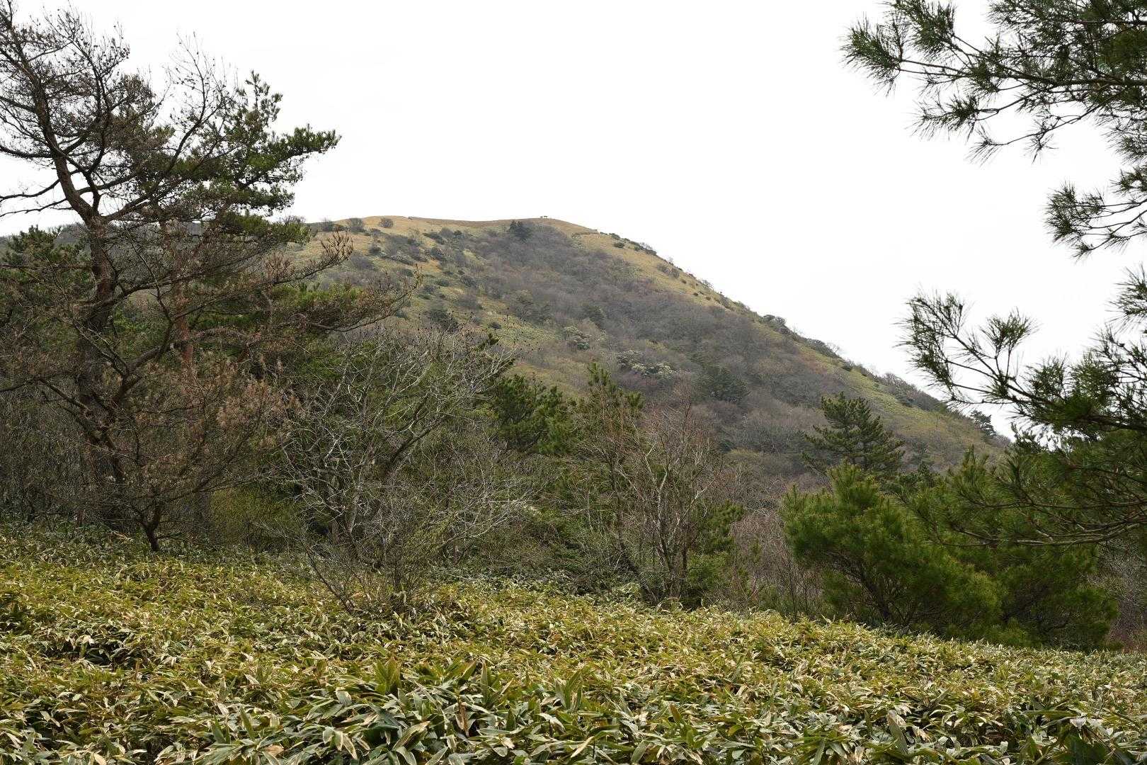 十種ヶ峰 周回コースの写真