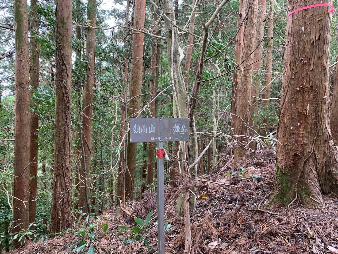 鎮南山登山口-鎮南山-姫岳 周回コースの写真