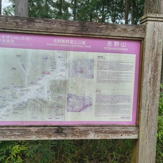 更に進むと金峯神社⛩️に。