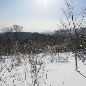 山頂は広いです。