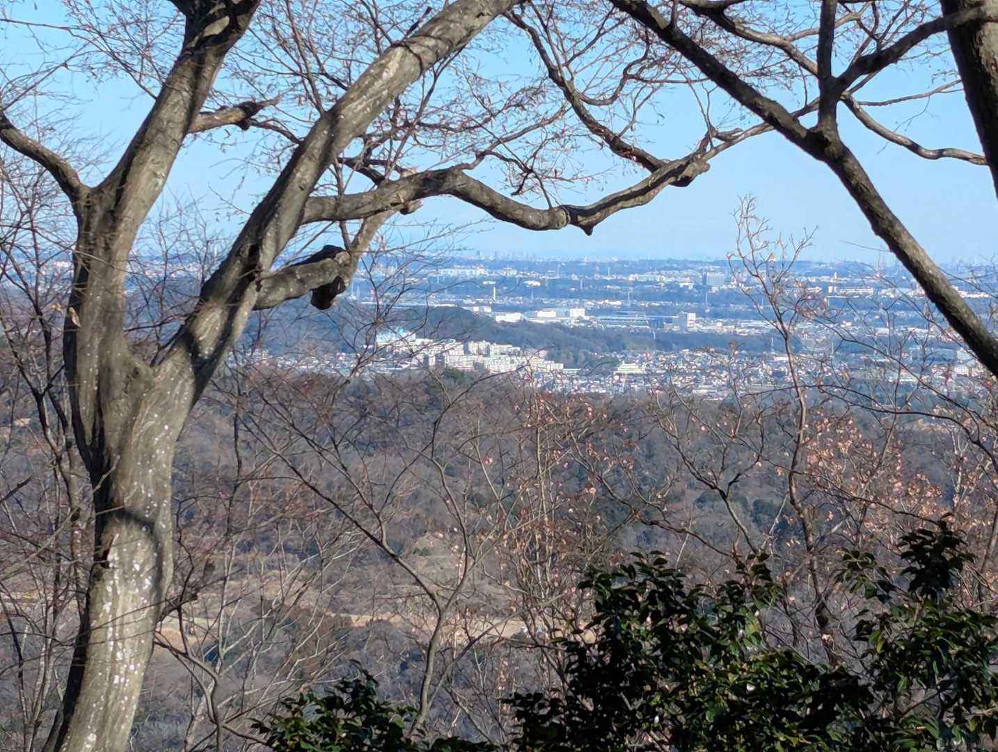 相模原市方面を見ています♫