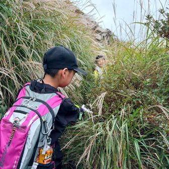 国見岳の途中は背丈以上に伸びてます‼️