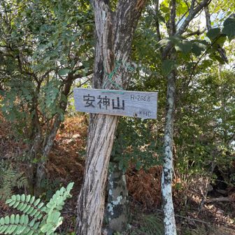 まず安神山⛰️266.8m到着👍