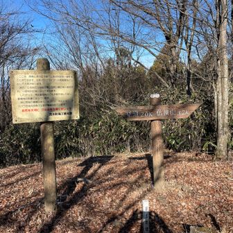 少し歩いて高峯山頂に到着、山名板はありませんでした