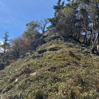 サガリハゲ山へ
巻道を歩いた小ピークから尾根へ