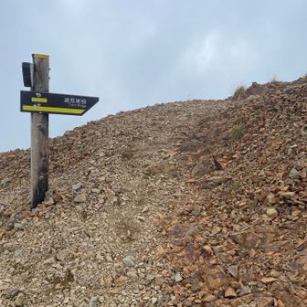 友達と合流して山荘にもどり、遠見尾根を降ります。降りるんだけど、最初登り
