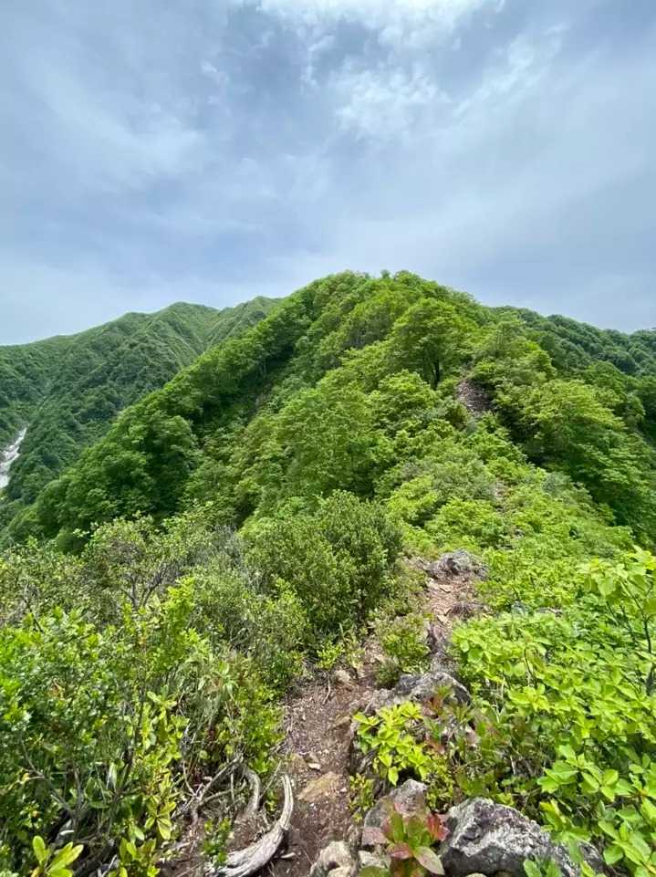 蒜場山の写真