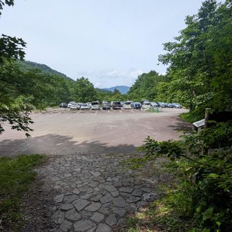 平日でも大勢の人が来る白山