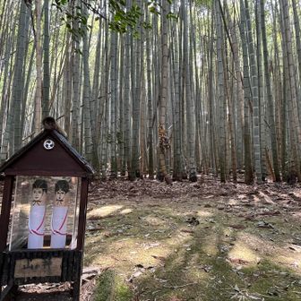 石段をずっと下りてくると、山の神さまと竹林