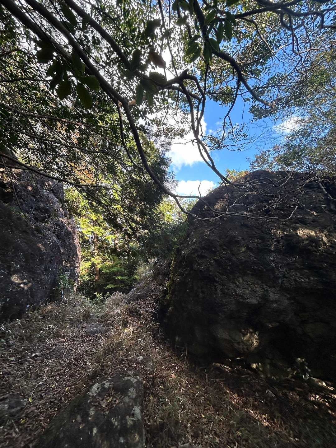瀬戸岩-棚山-宇連山 周回コースの写真