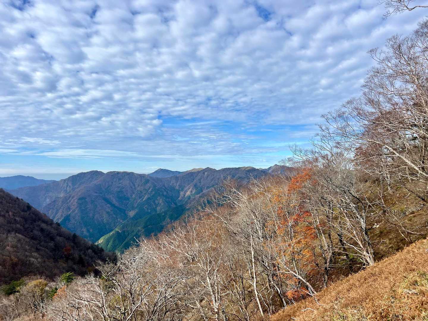 次郎笈⛰️へ向かう🚶‍♀️

👈に 中東山⛰️
中央に カッコイイ白髪山⛰️ 
👉には 三嶺⛰️