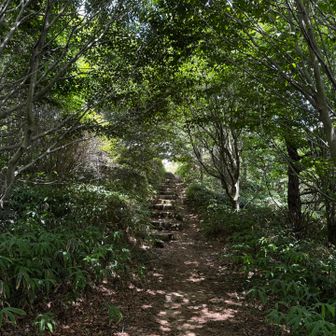 この辺り涼しい💕