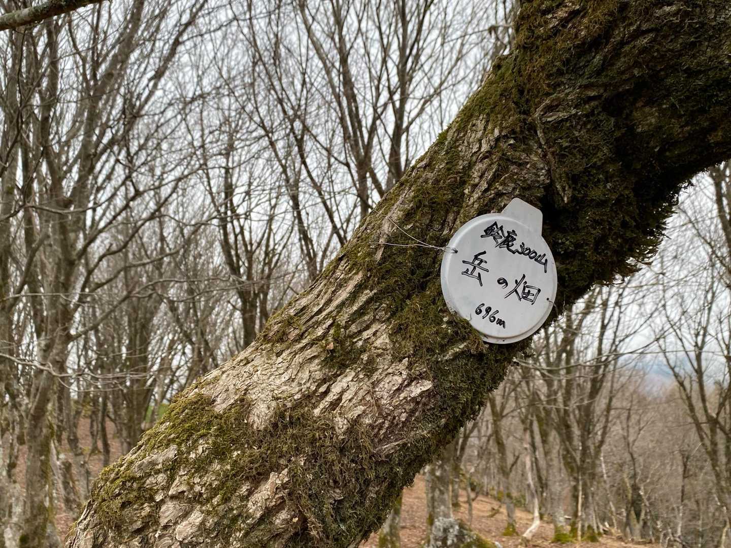 鍋尻山登山口-鍋尻山-岳の畑 往復コースの写真